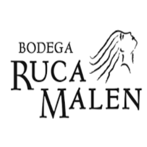 Logo pastelería bonito divertido rosa y turquesa (34)